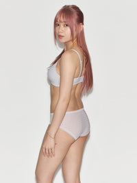 Texture Lace Hipster Panty