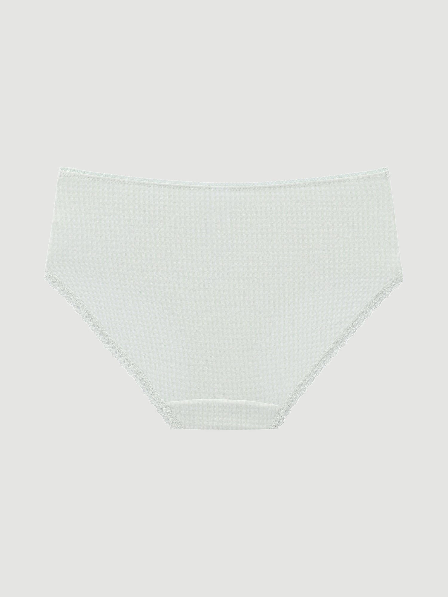 Modal Hipgugger Panty