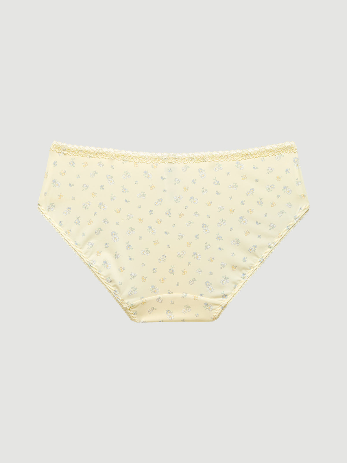 Micro Hipster Panty