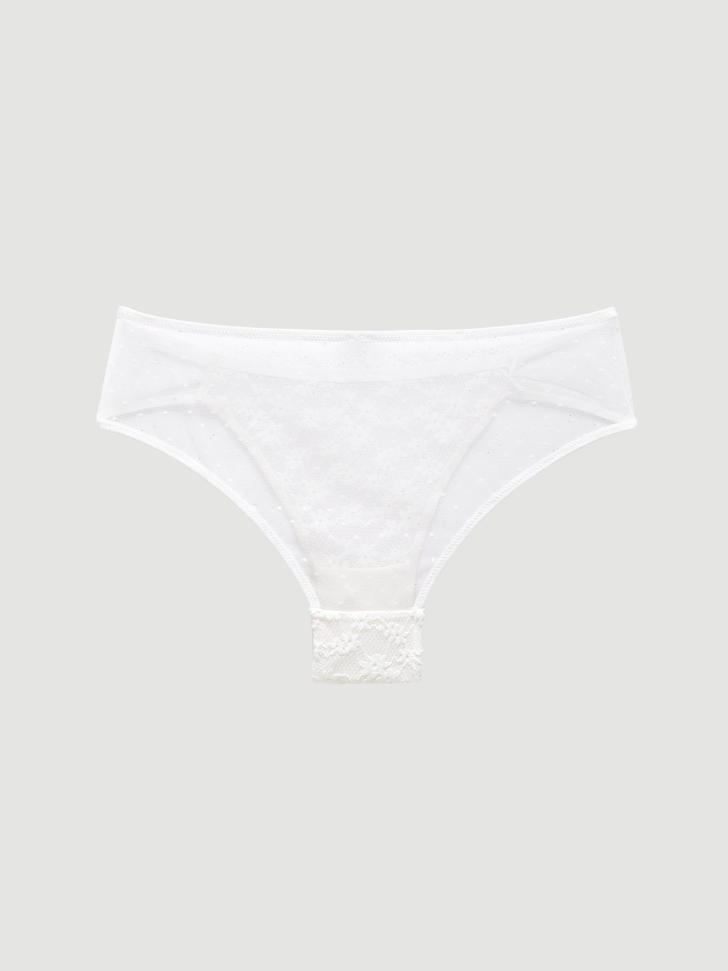 Mesh Cheeky Panty
