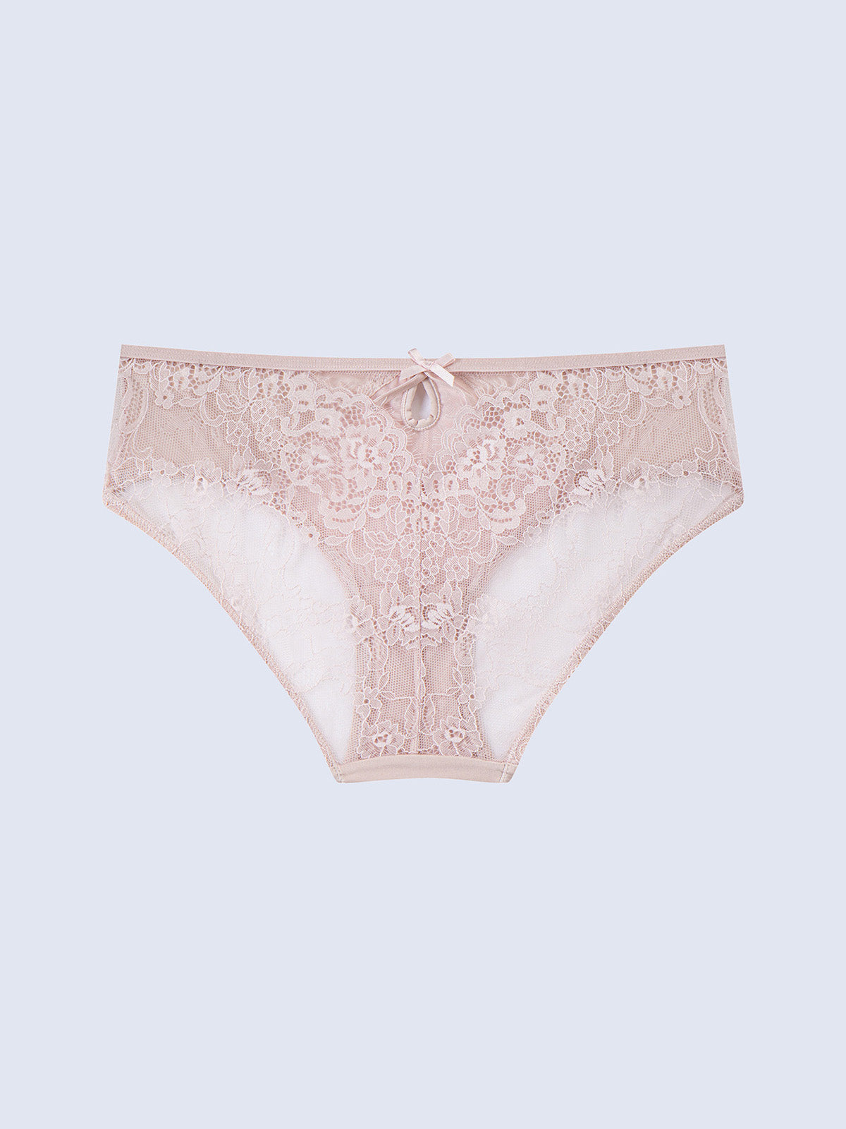 Lace Hipster Panty