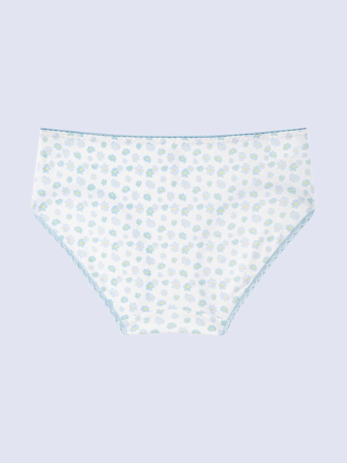 Modal Hipster Panty