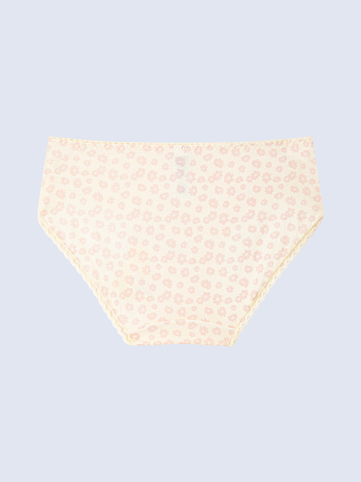 Modal Hipster Panty