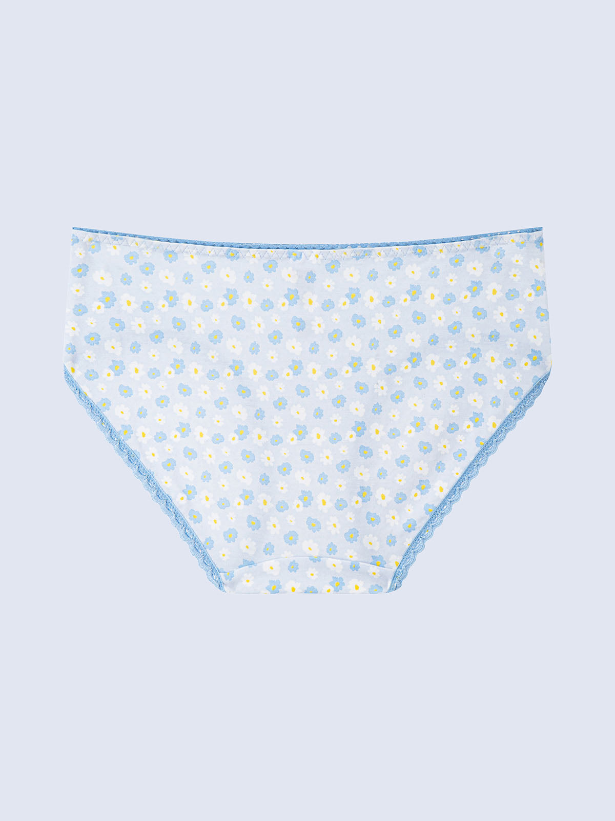 Modal Hipster Panty