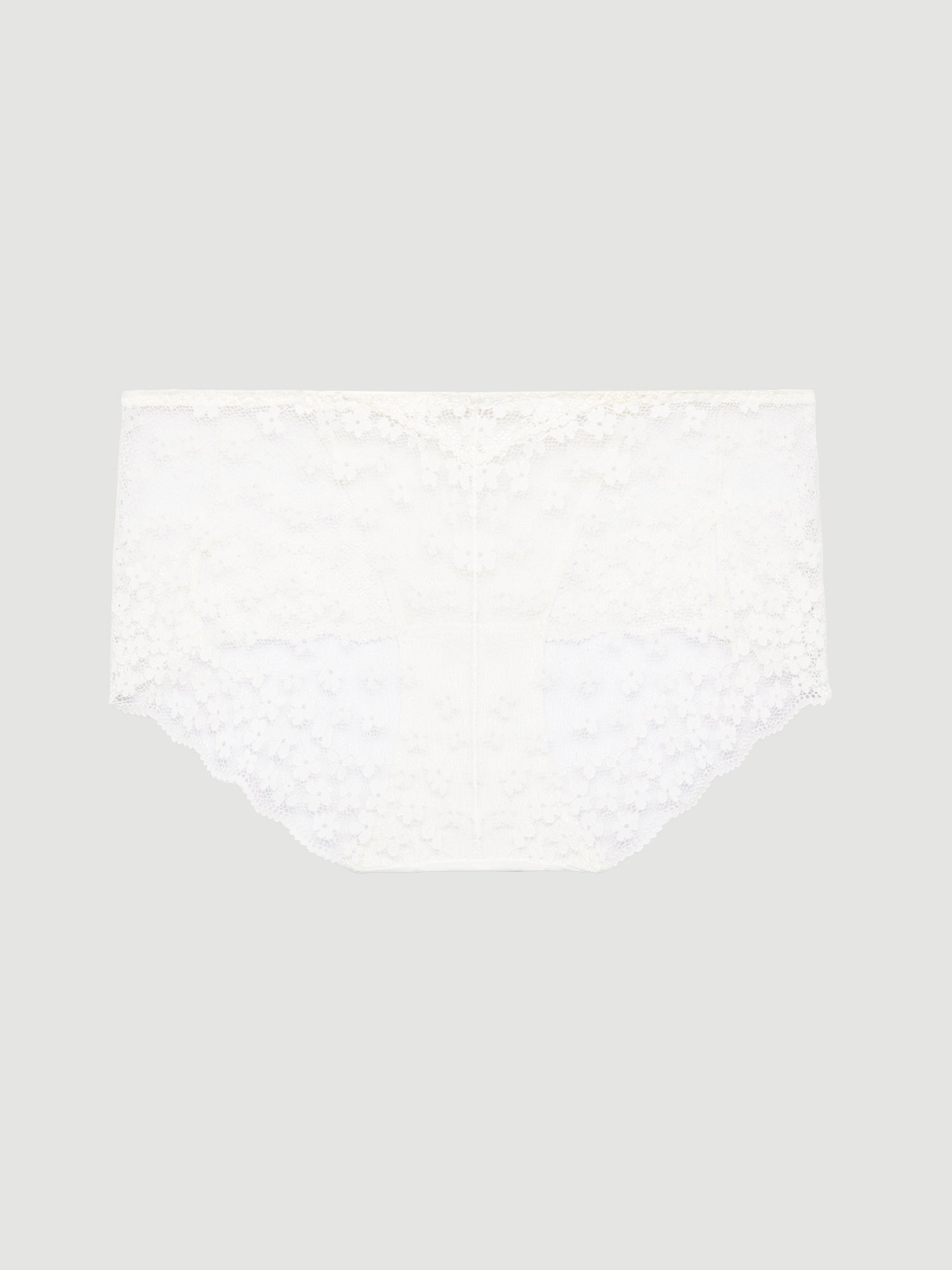 Lace Hiphugger Panty